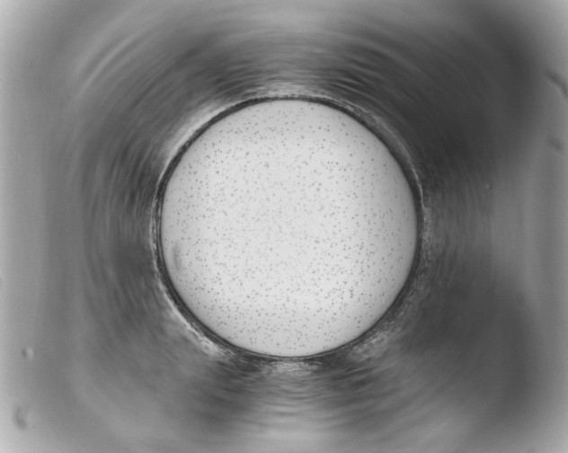 X0000103480847200810100958