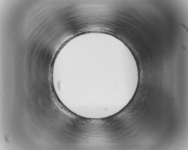 X0000103480848200810100958