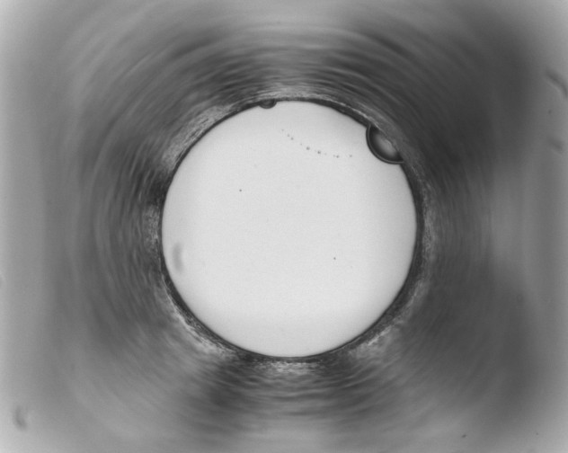 X0000103480849200810100958