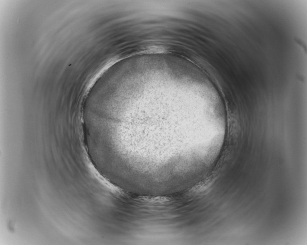 X0000103480851200810100958