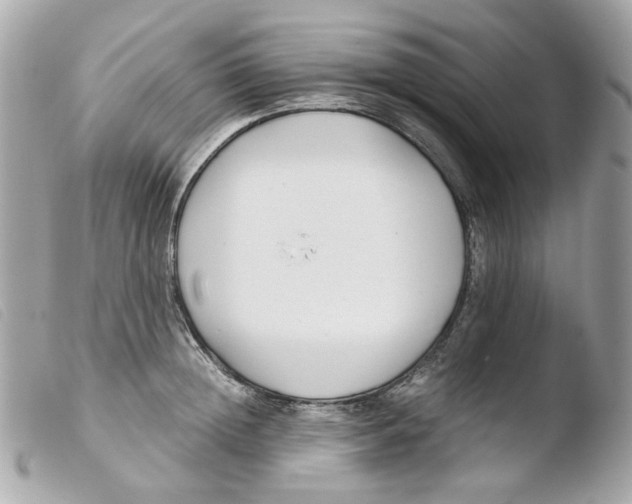 X0000103480852200810100958