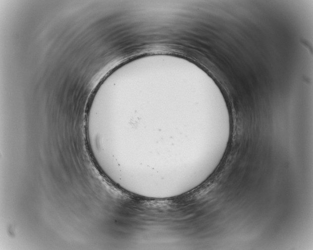 X0000103480853200810100958