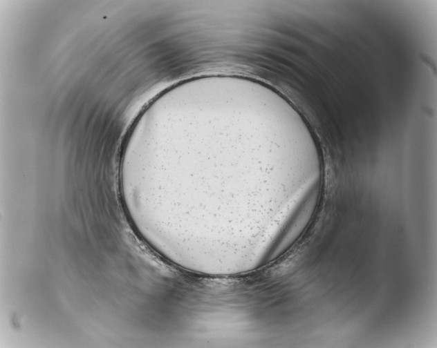 X0000103480854200810100958