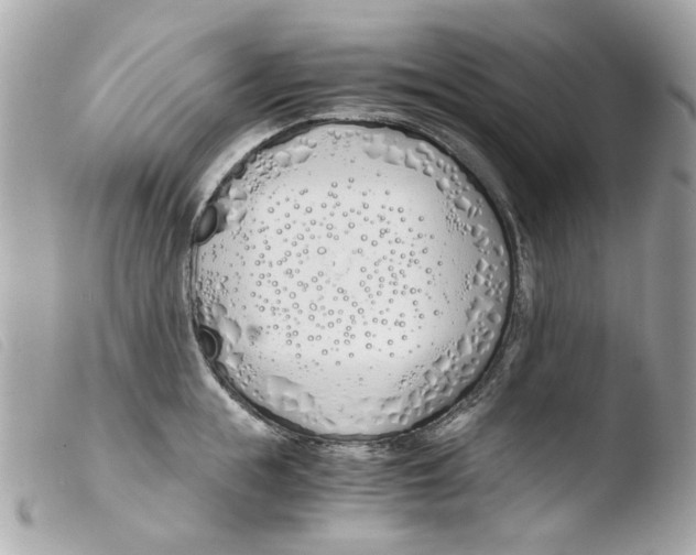 X0000103480855200810100958