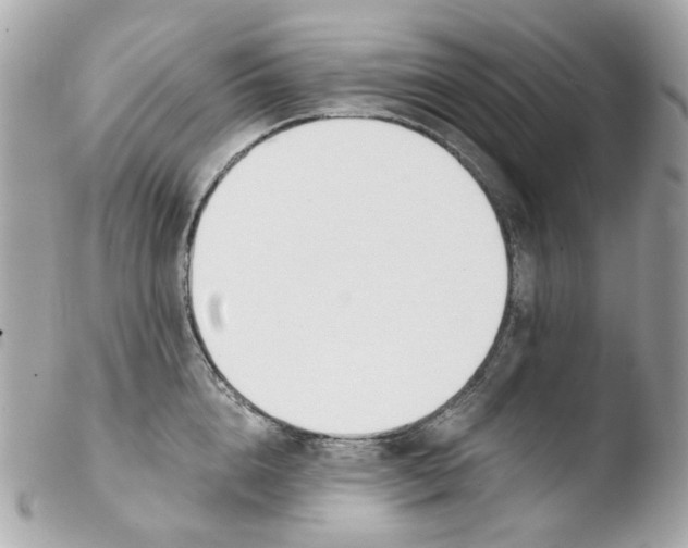 X0000103480856200810100958