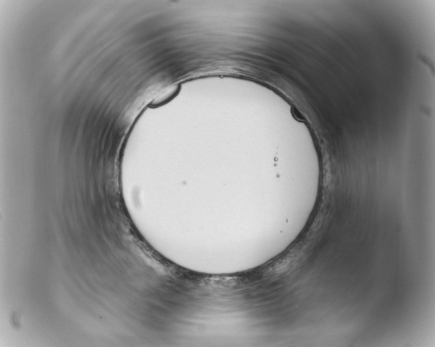 X0000103480858200810100958