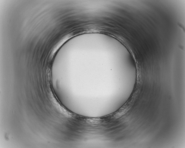 X0000103480859200810100958