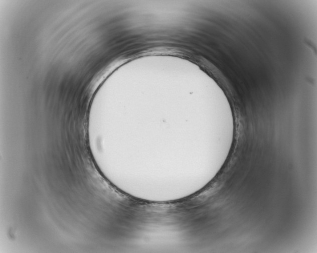 X0000103480860200810100958