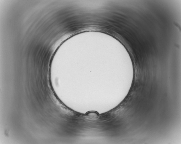 X0000103480861200810100958