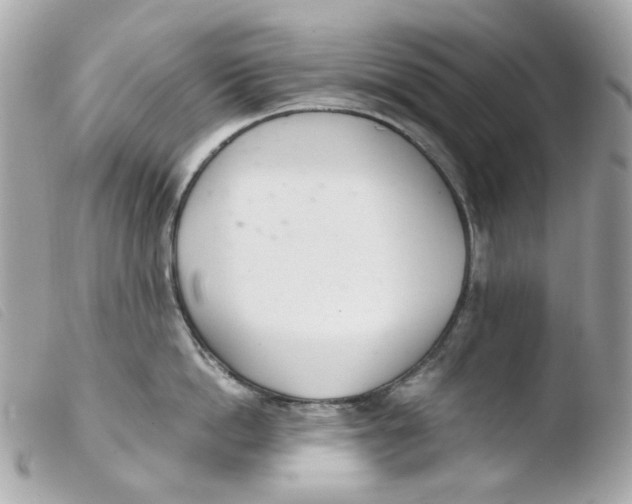 X0000103480862200810100958