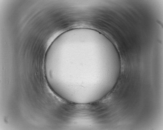 X0000103480863200810100958