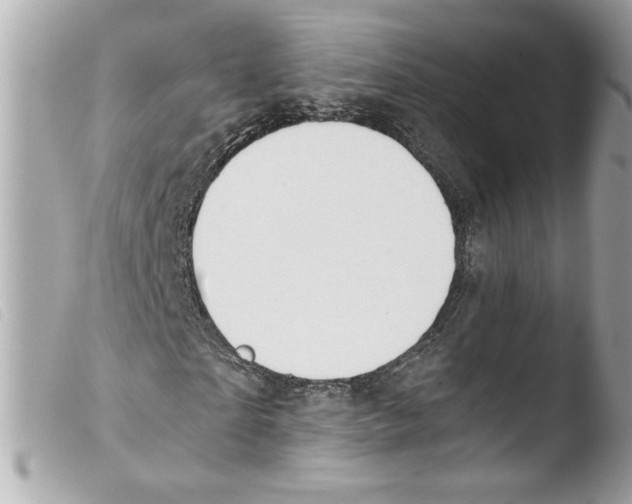 X0000103480865200810100957