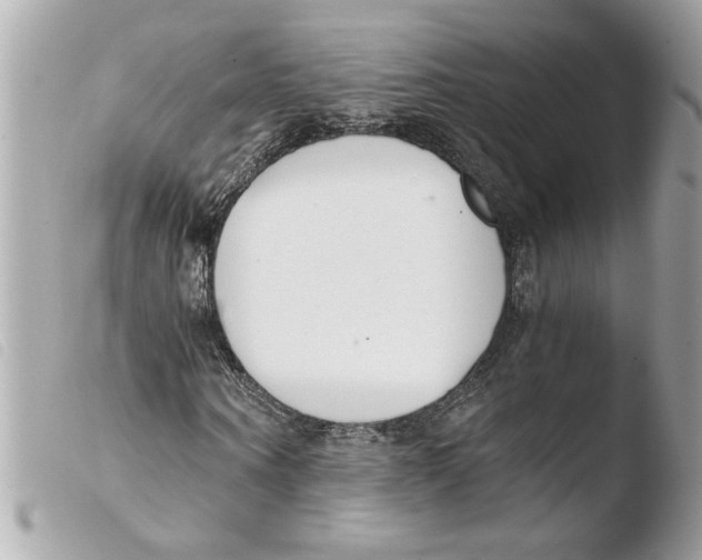 X0000103480866200810100957