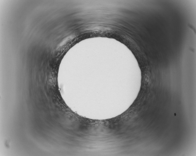 X0000103480869200810100957