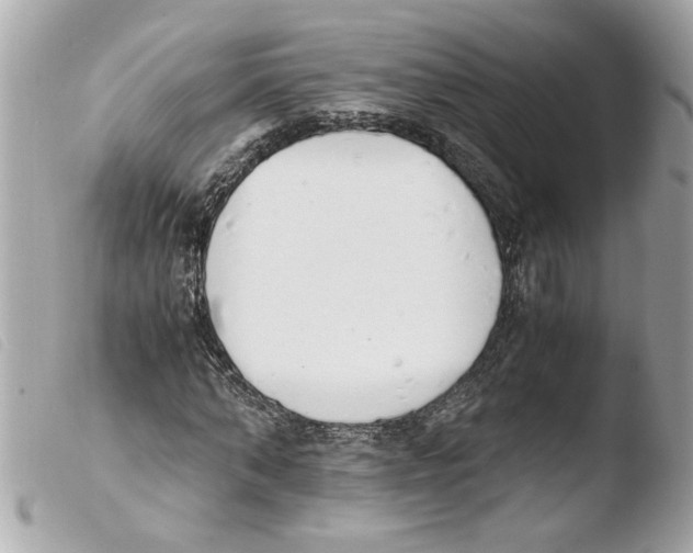 X0000103480870200810100957