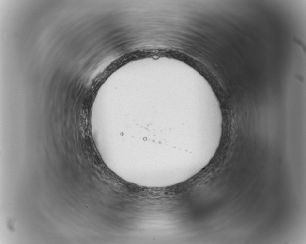 X0000103480871200810100957