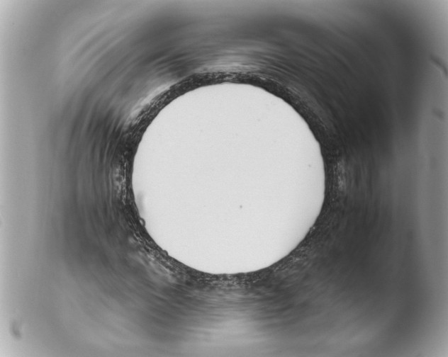 X0000103480872200810100957