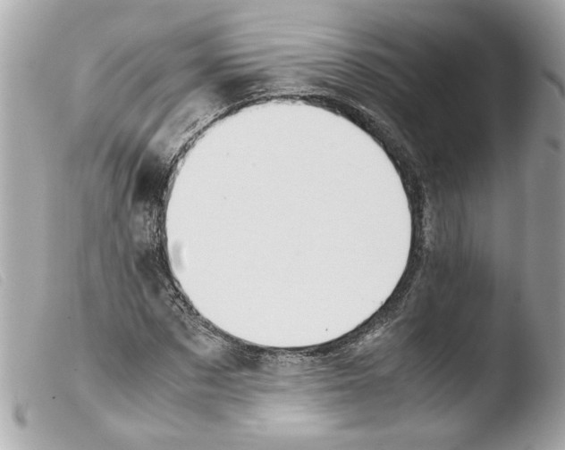 X0000103480873200810100957