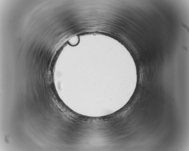 X0000103480876200810100957