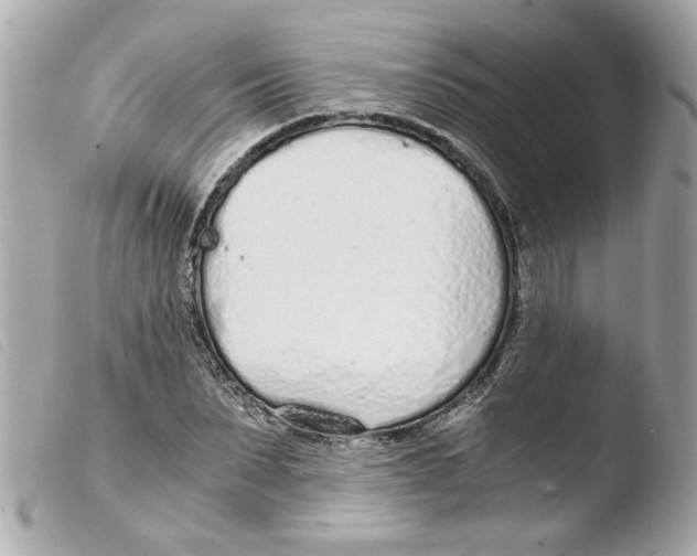 X0000103480879200810100957