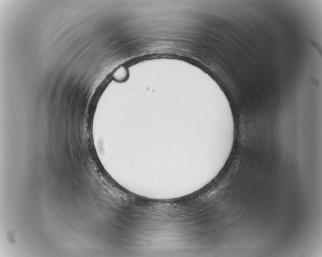X0000103480880200810100957