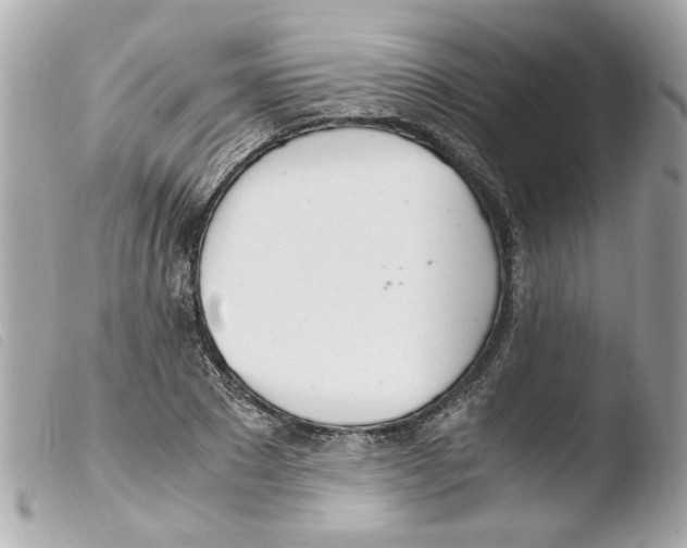 X0000103480881200810100957