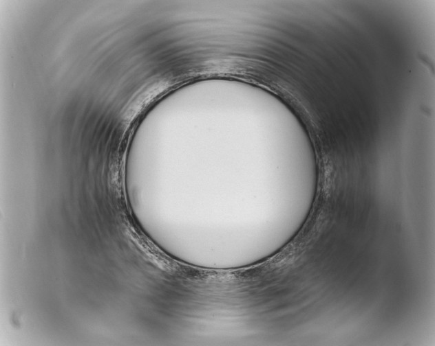 X0000103480882200810100957