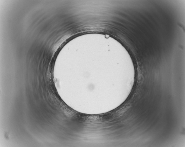 X0000103480883200810100957