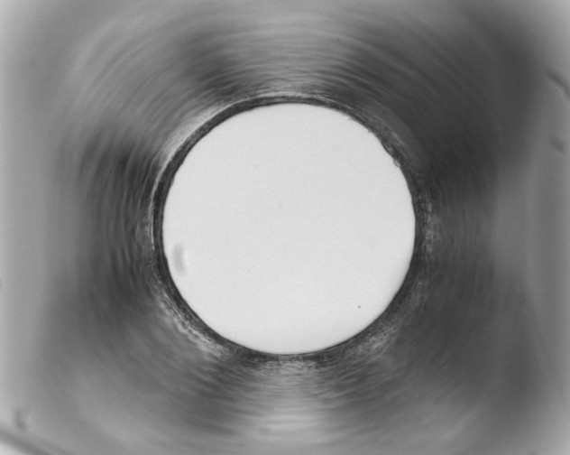 X0000103480884200810100957
