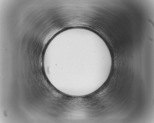 X0000103480885200810100957