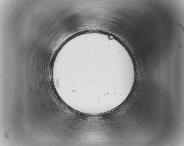 X0000103480887200810100957