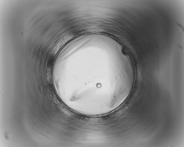 X0000103480889200810100957