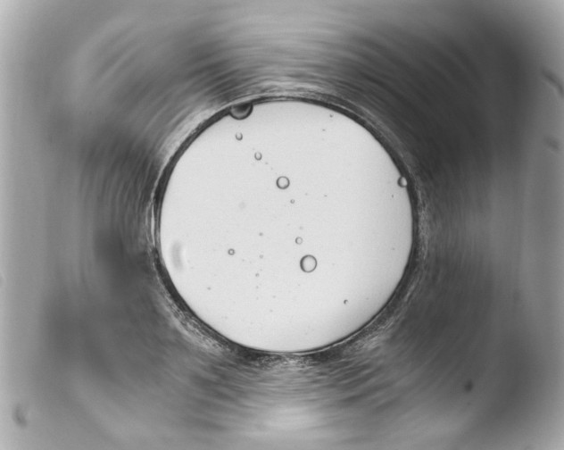X0000103480891200810100957