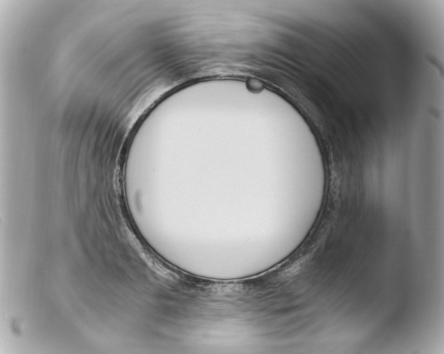 X0000103480893200810100957