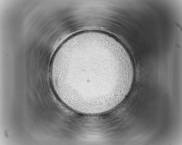 X0000103480895200810100956