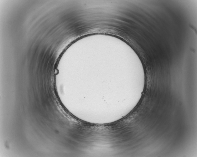 X0000103480896200810100956