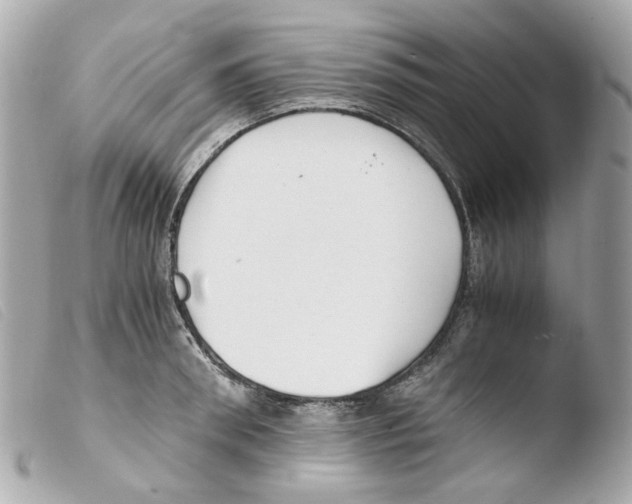 X0000103480898200810100956