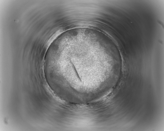 X0000103480899200810100956