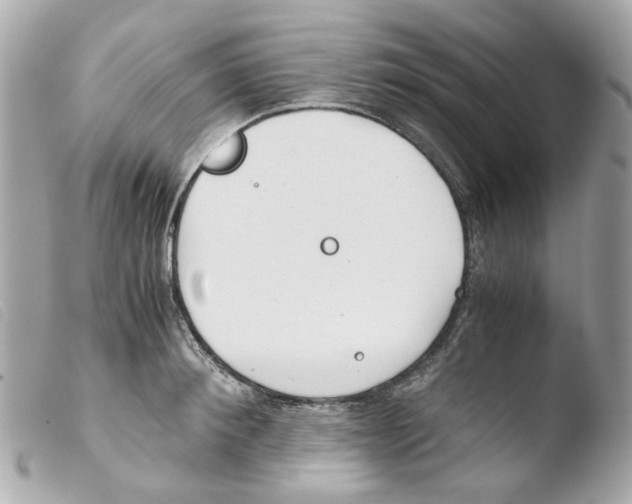 X0000103480900200810100956