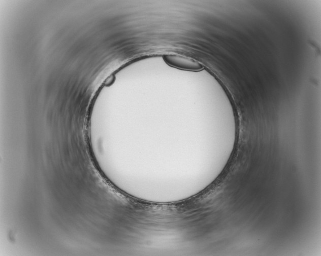 X0000103480901200810100956