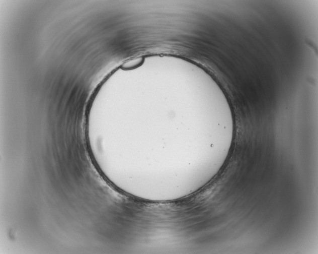 X0000103480902200810100956