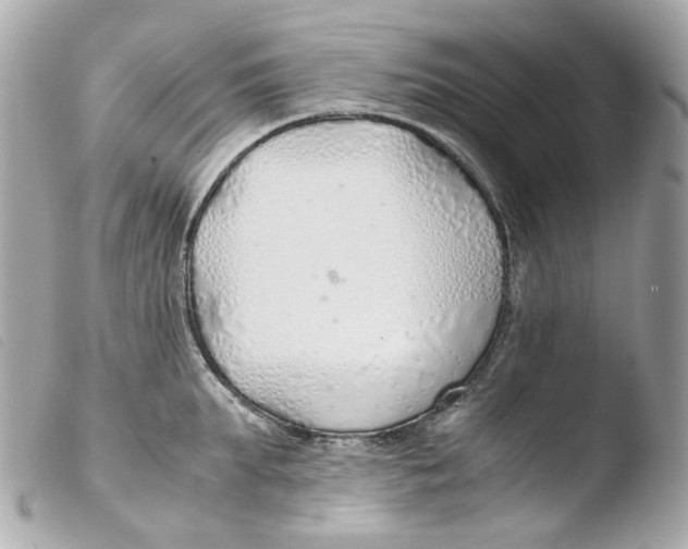 X0000103480903200810100956
