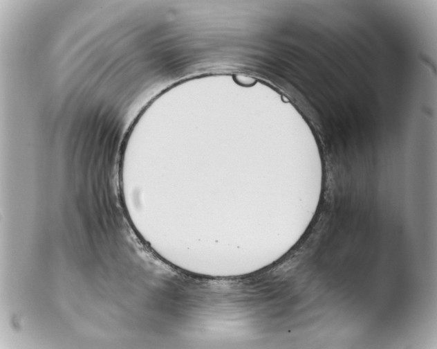 X0000103480904200810100956