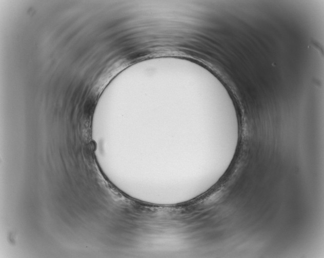 X0000103480905200810100956