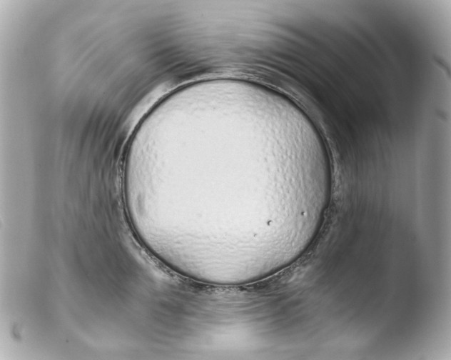 X0000103480907200810100956