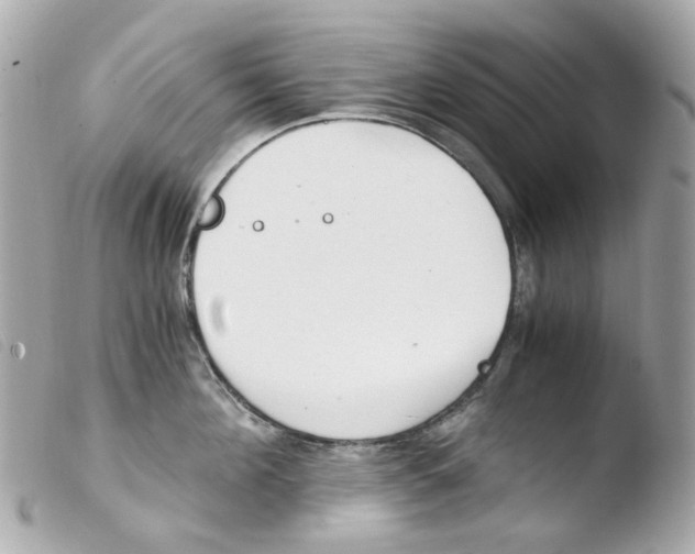 X0000103480908200810100956