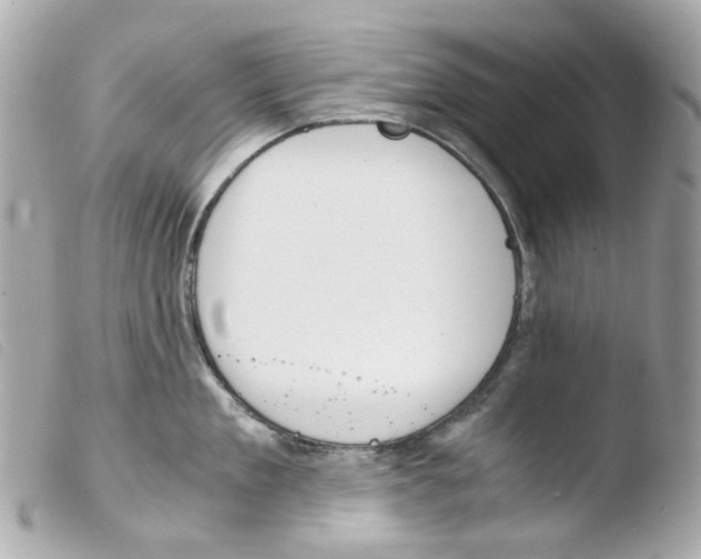 X0000103480909200810100956