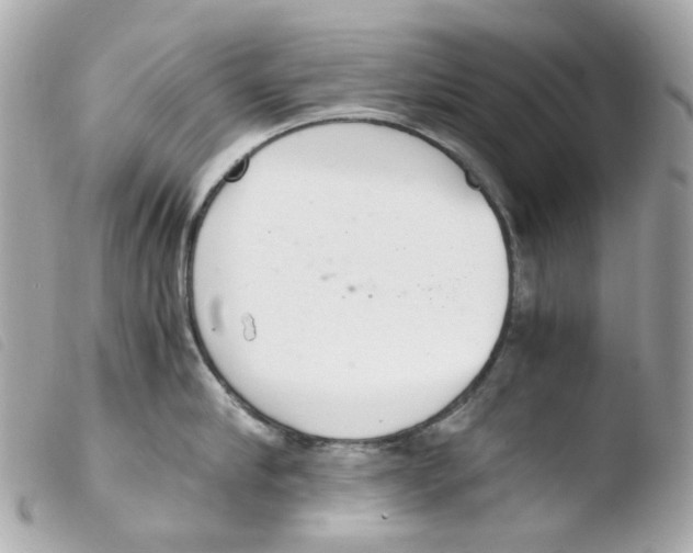 X0000103480910200810100956