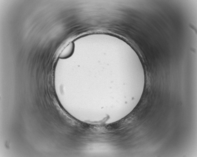 X0000103480911200810100956