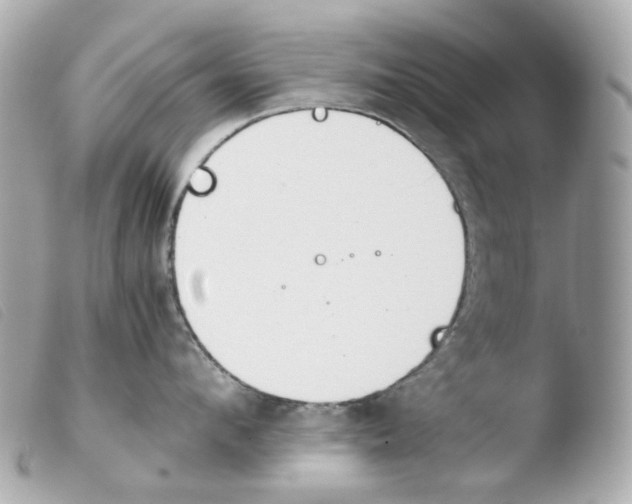 X0000103480912200810100956